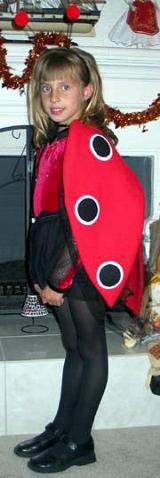 Божья коровка